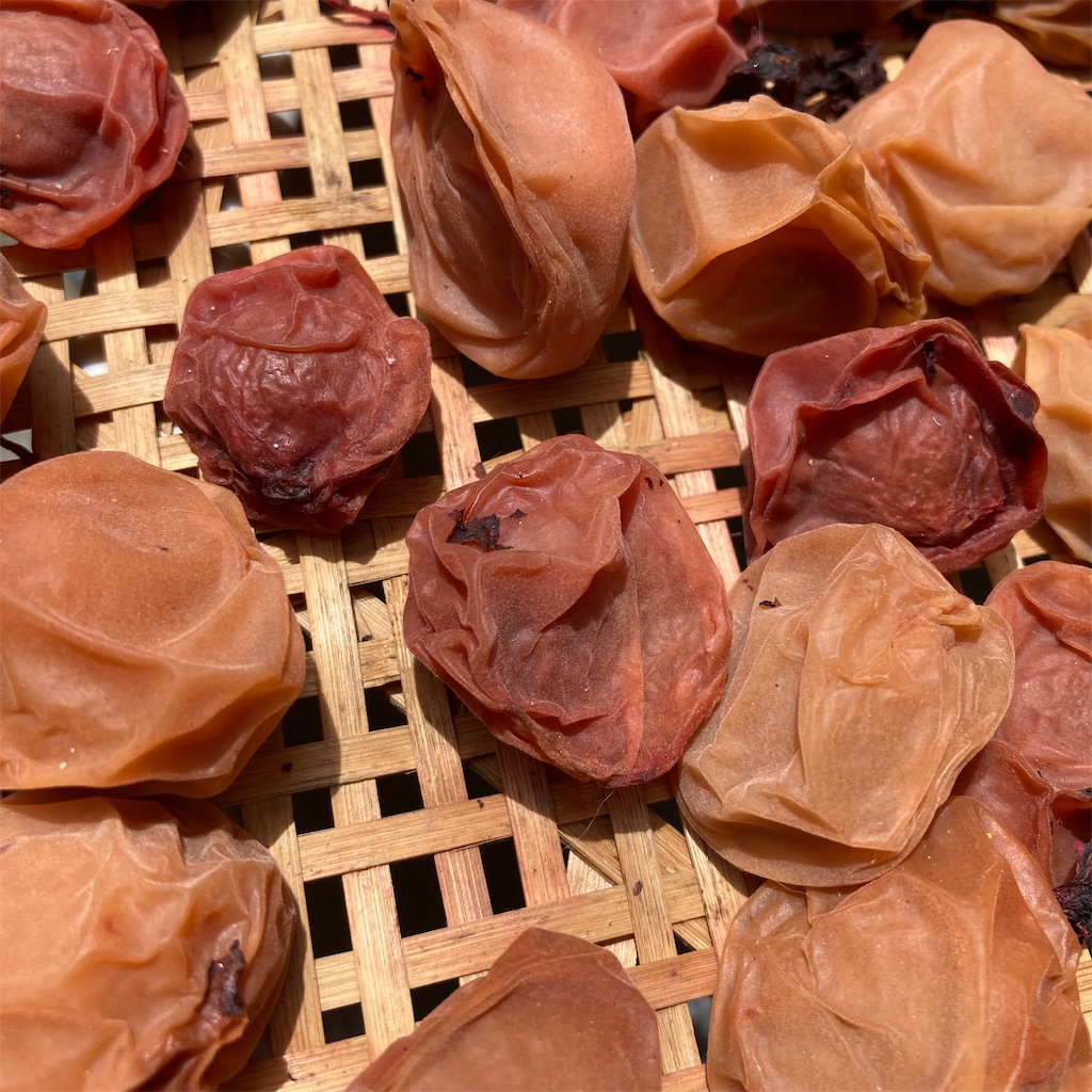 f:id:rotling:20210726225411j:image