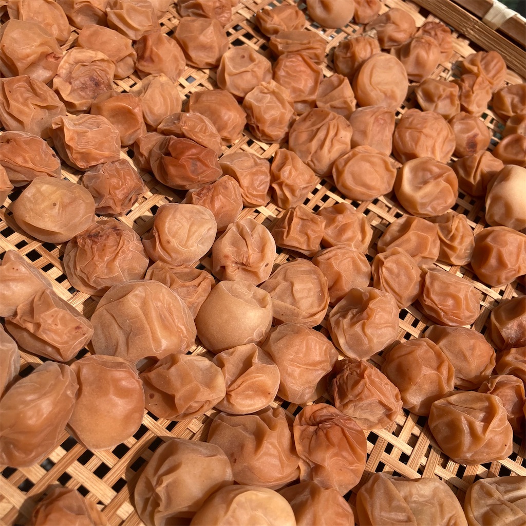 f:id:rotling:20210726225415j:image