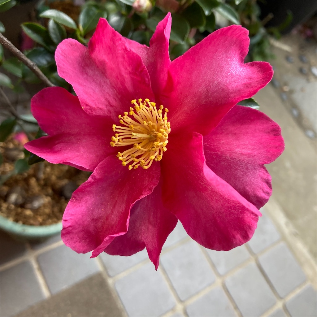 f:id:rotling:20211213100114j:image