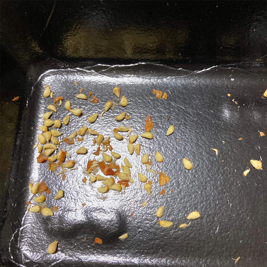 f:id:rotling:20211214184749j:image