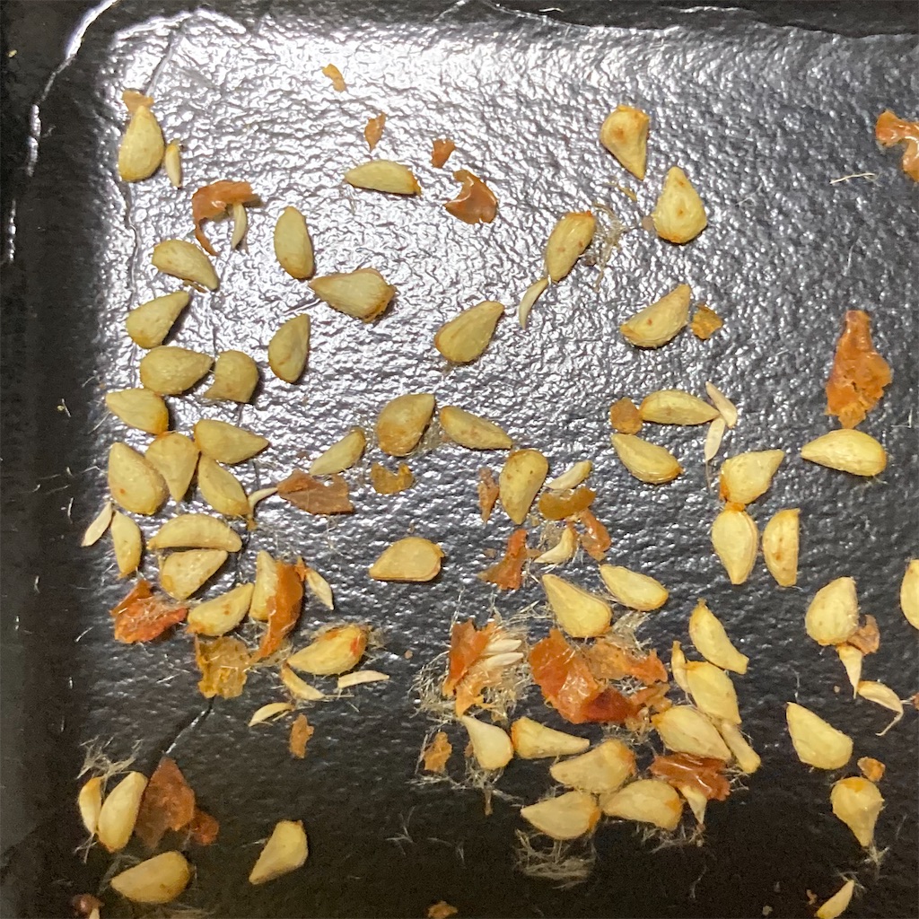 f:id:rotling:20211214184801j:image