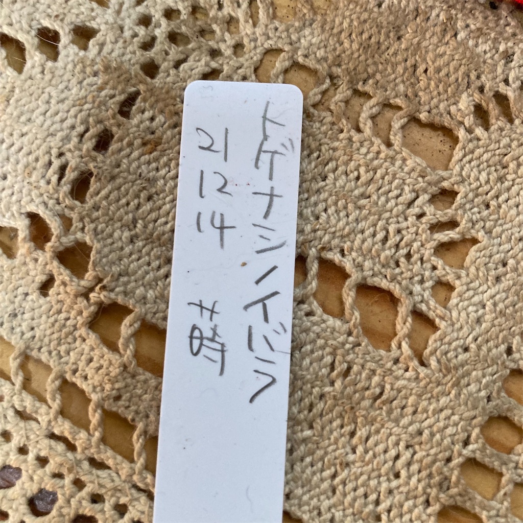 f:id:rotling:20211214184904j:image