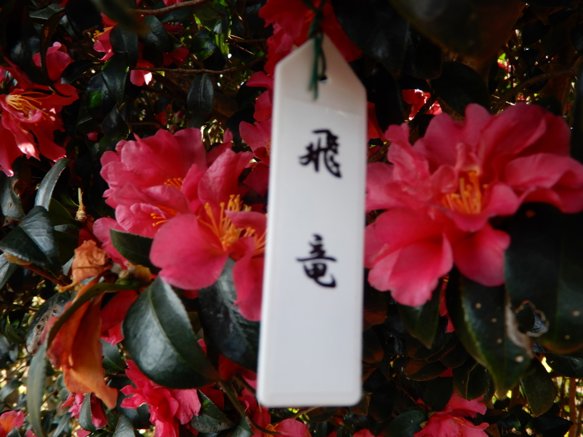 f:id:rotling:20211227215354j:plain