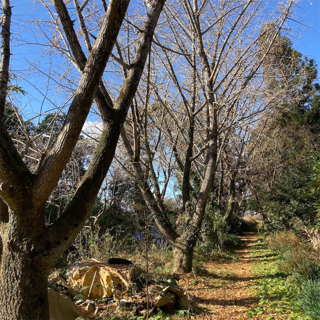 f:id:rotling:20220102215137j:image