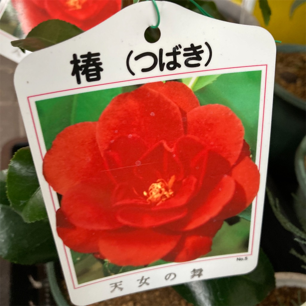 f:id:rotling:20220105165300j:image