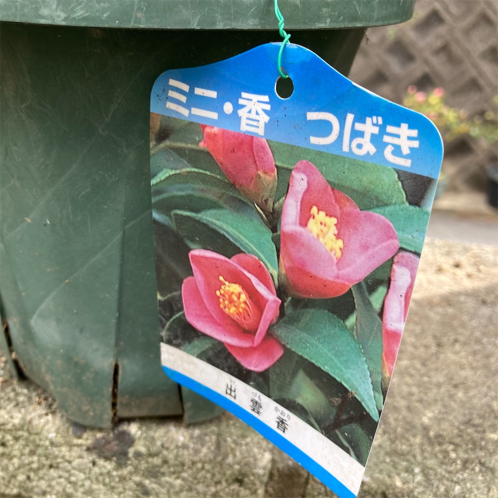 f:id:rotling:20220318092329j:image