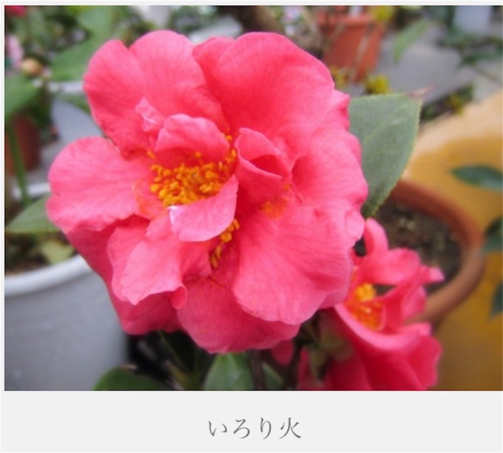 f:id:rotling:20220327173037j:image