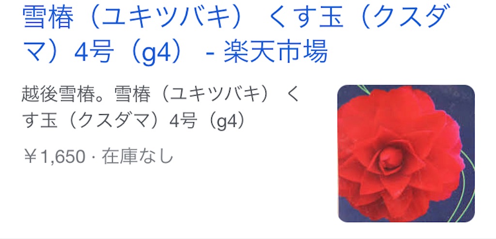 f:id:rotling:20220327193252j:image
