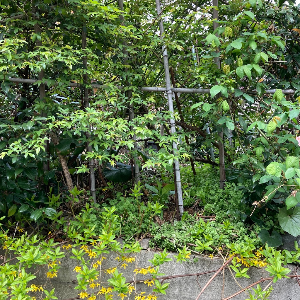 f:id:rotling:20220330103110j:image