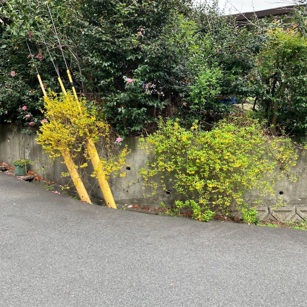 f:id:rotling:20220330103313j:image