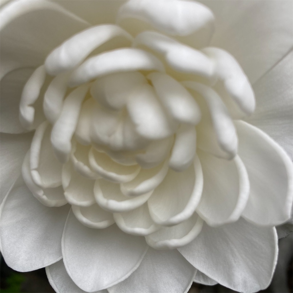 f:id:rotling:20220330141355j:image