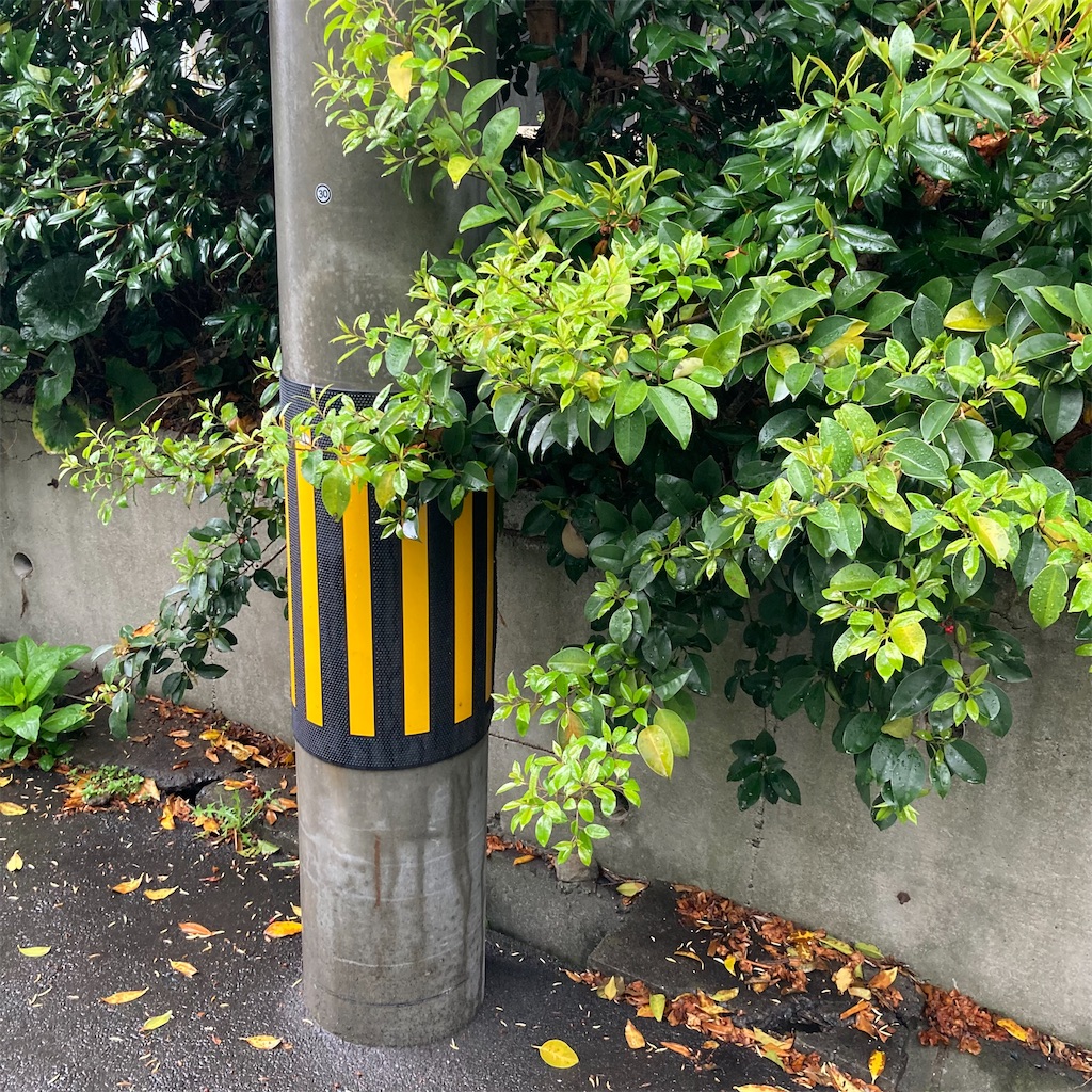 f:id:rotling:20220424111912j:image