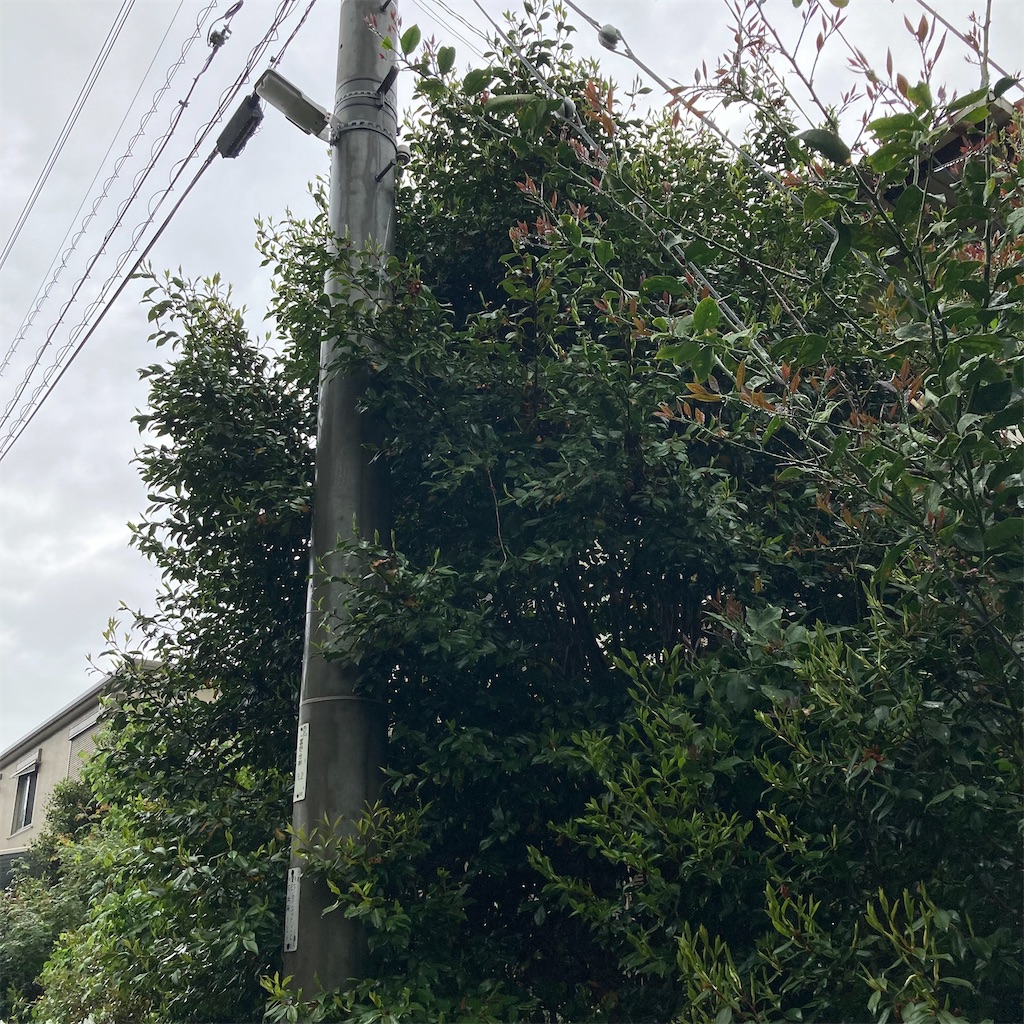 f:id:rotling:20220424111929j:image