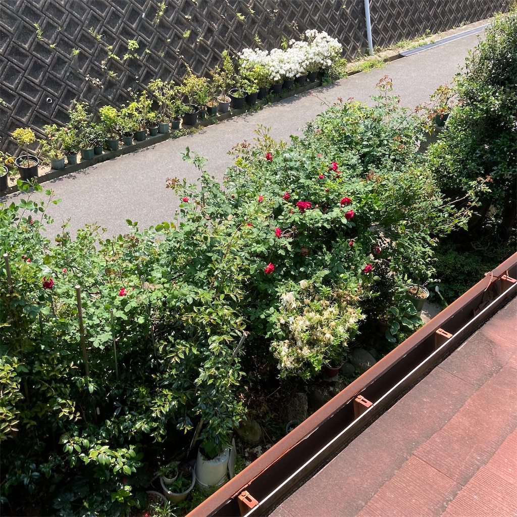 f:id:rotling:20220502202820j:image