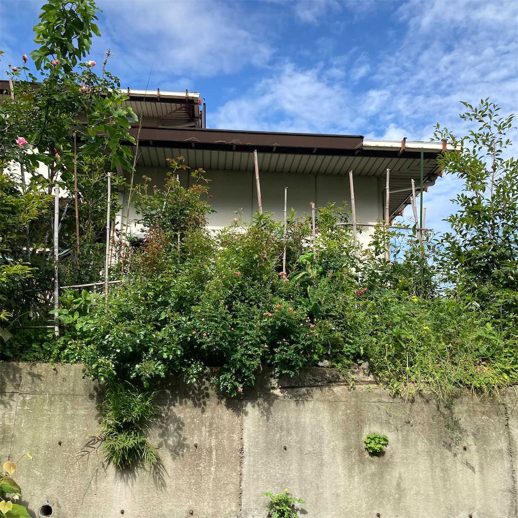 f:id:rotling:20220506210521j:image