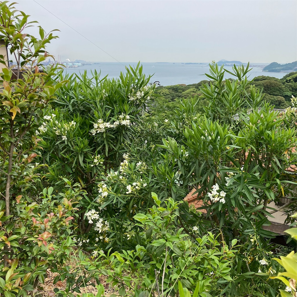 f:id:rotling:20220605143512j:image