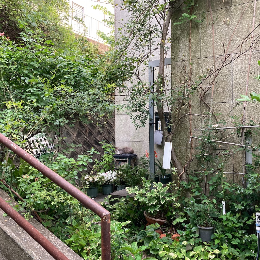 f:id:rotling:20220612185326j:image