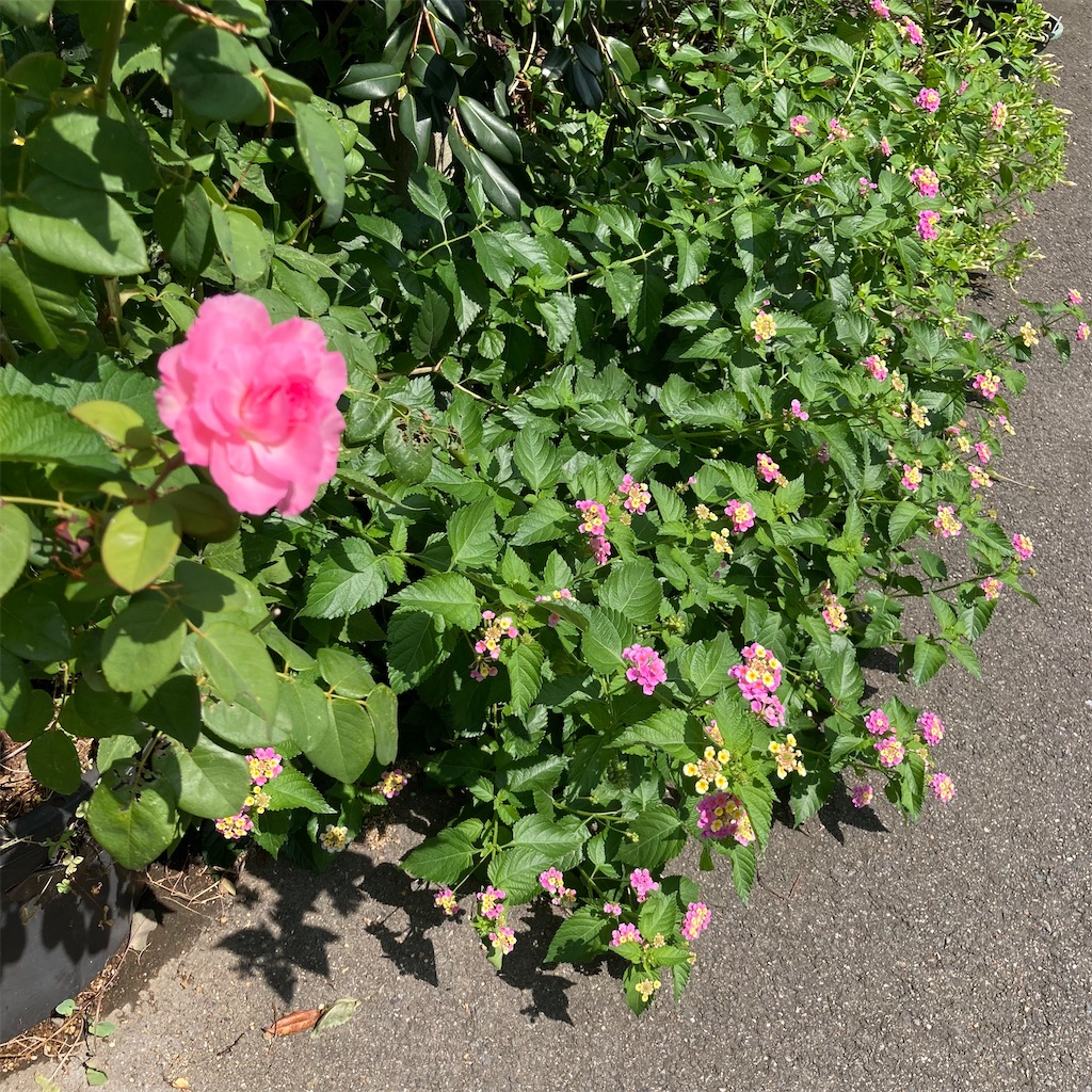 f:id:rotling:20220910220311j:image