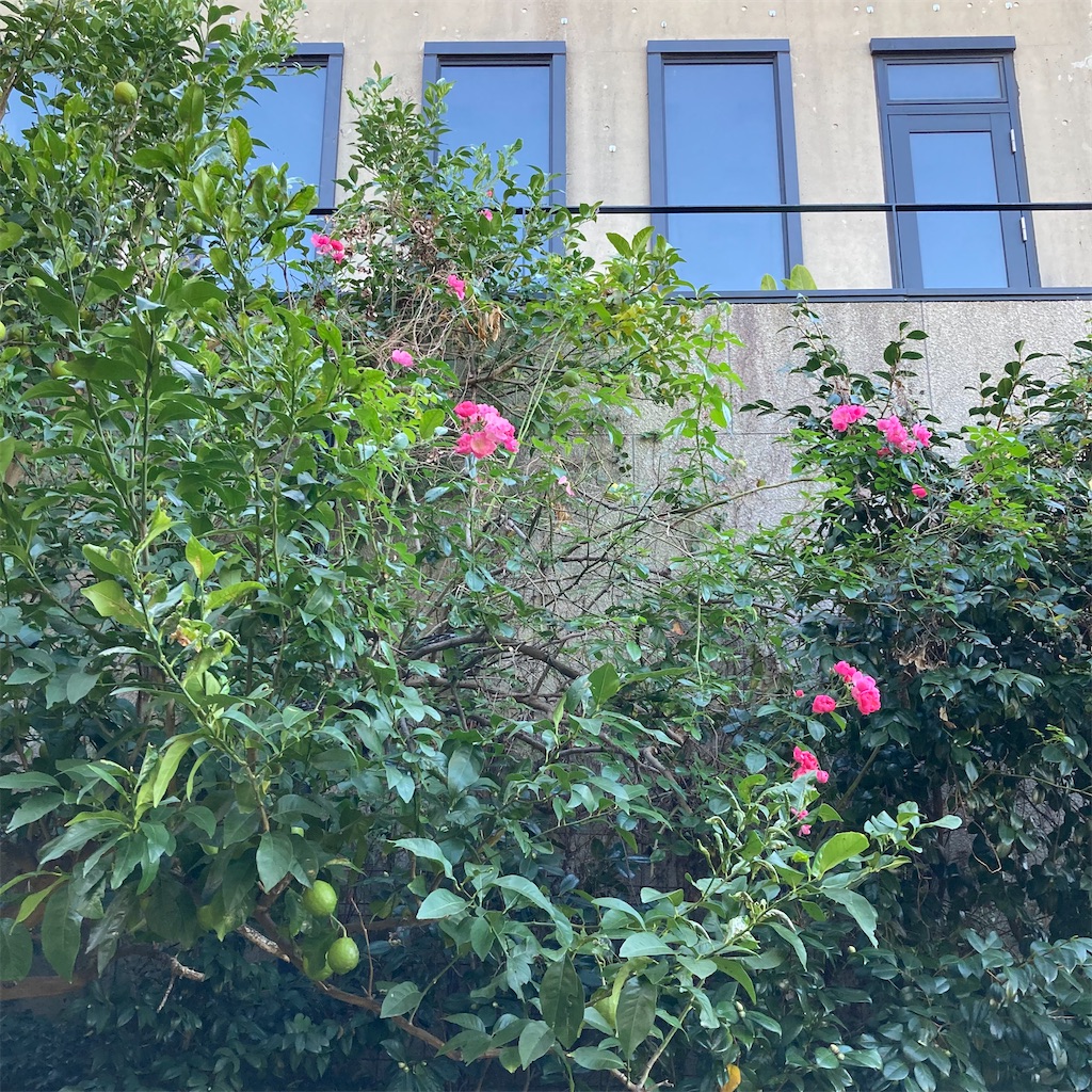 f:id:rotling:20221102154157j:image