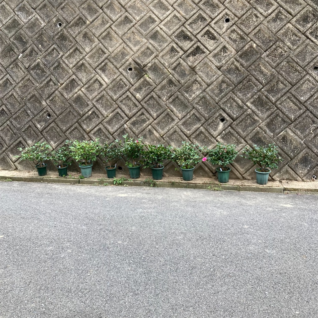 f:id:rotling:20221122120934j:image