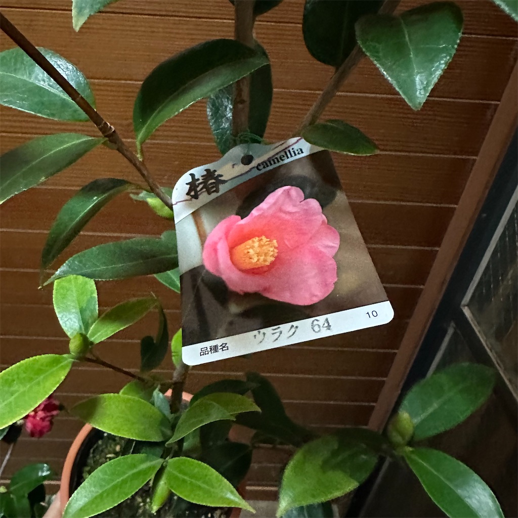 f:id:rotling:20230119210915j:image