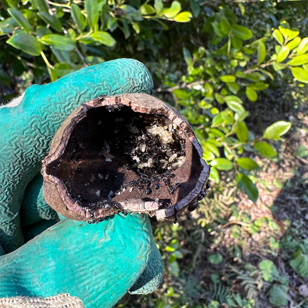 f:id:rotling:20230128230211j:image f:id:rotling:20230128230211j:image