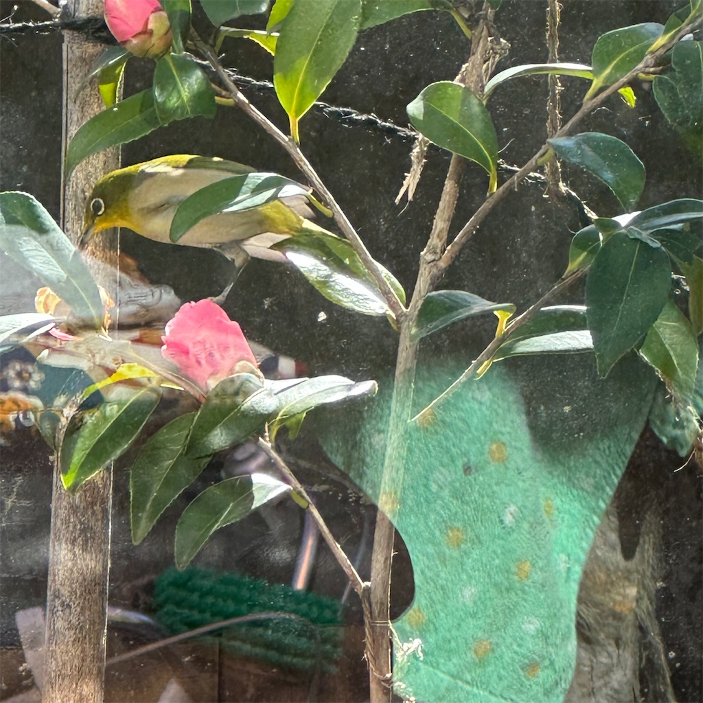 f:id:rotling:20230131203923j:image