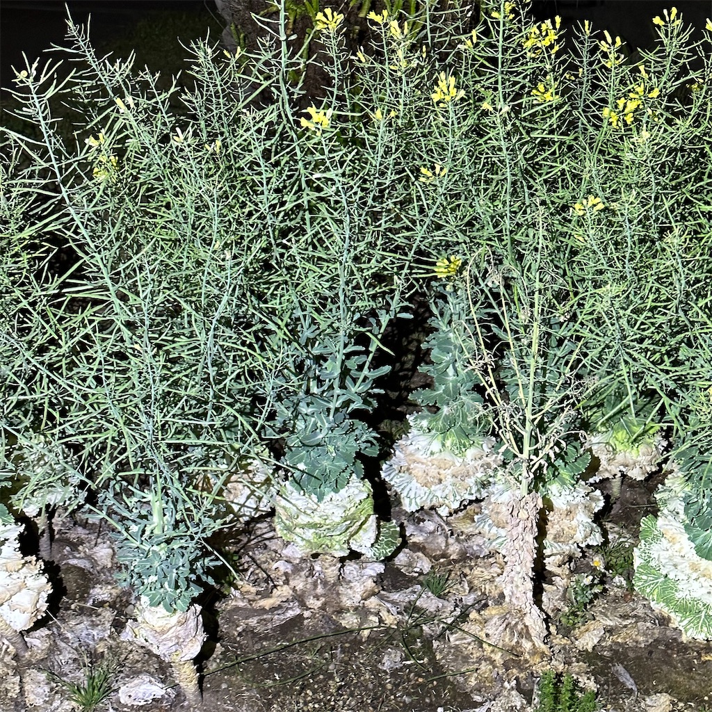 f:id:rotling:20230420232823j:image