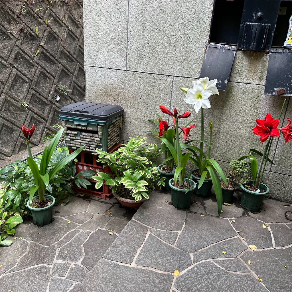 f:id:rotling:20230522224550j:image