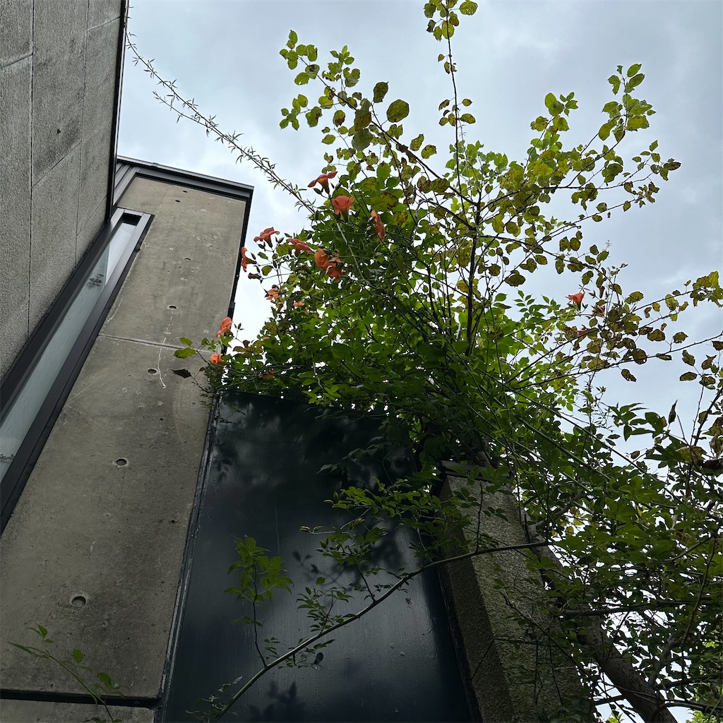 f:id:rotling:20230622133923j:image