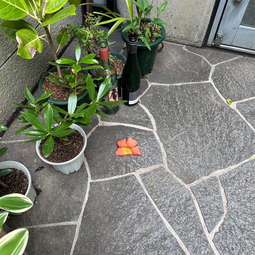 f:id:rotling:20230622133926j:image