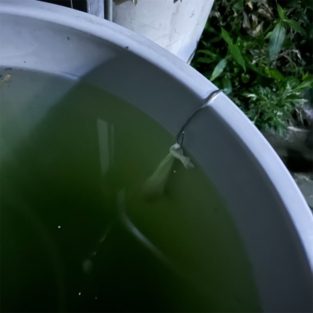 f:id:rotling:20230622203616j:image