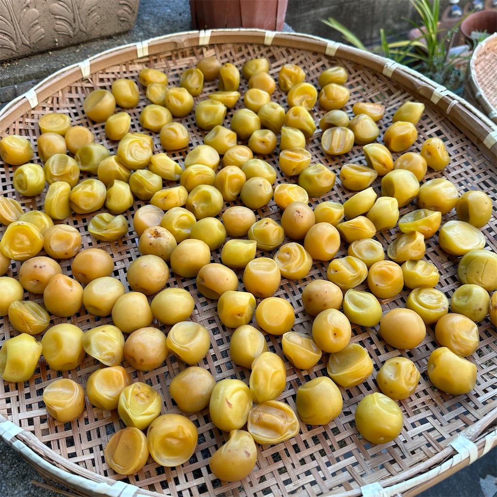 f:id:rotling:20230729180348j:image