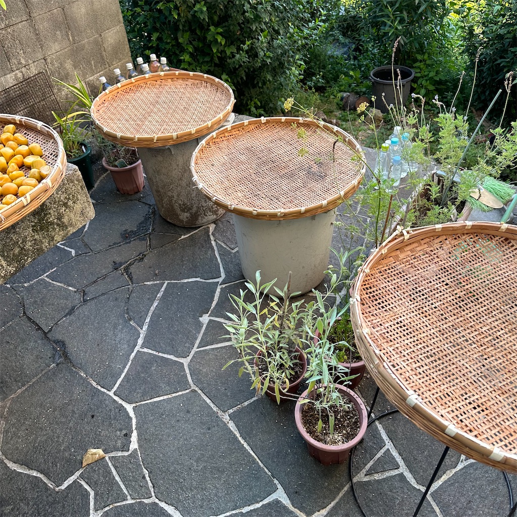 f:id:rotling:20230729180421j:image