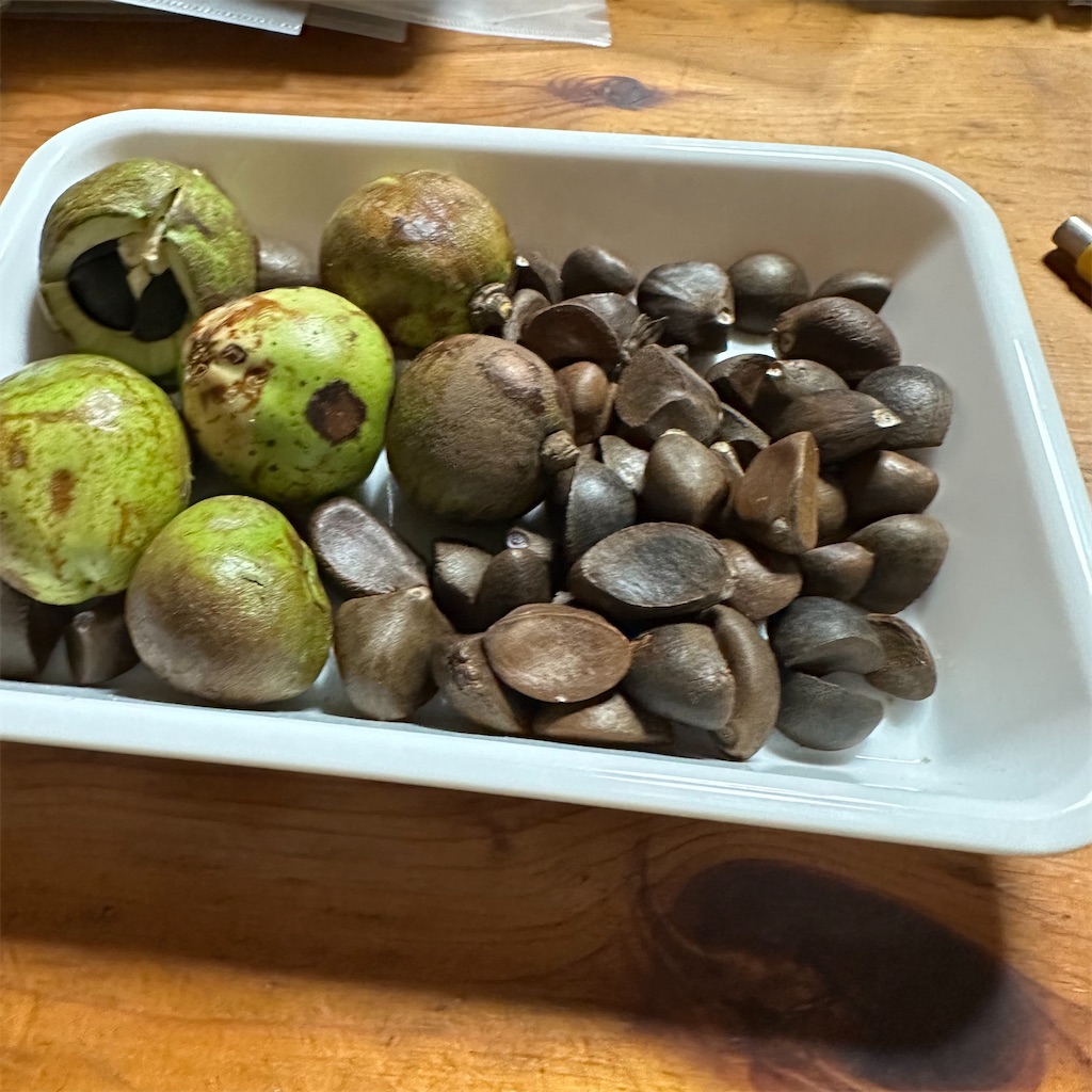 f:id:rotling:20231014152053j:image