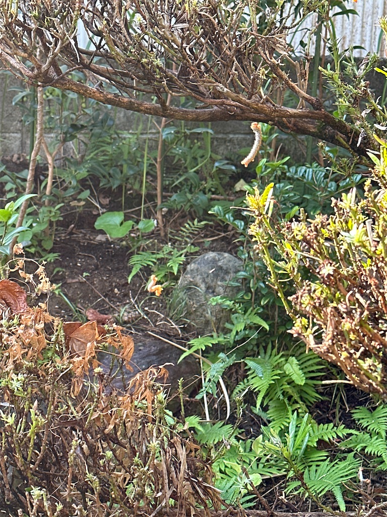 f:id:rotling:20231018092304j:image