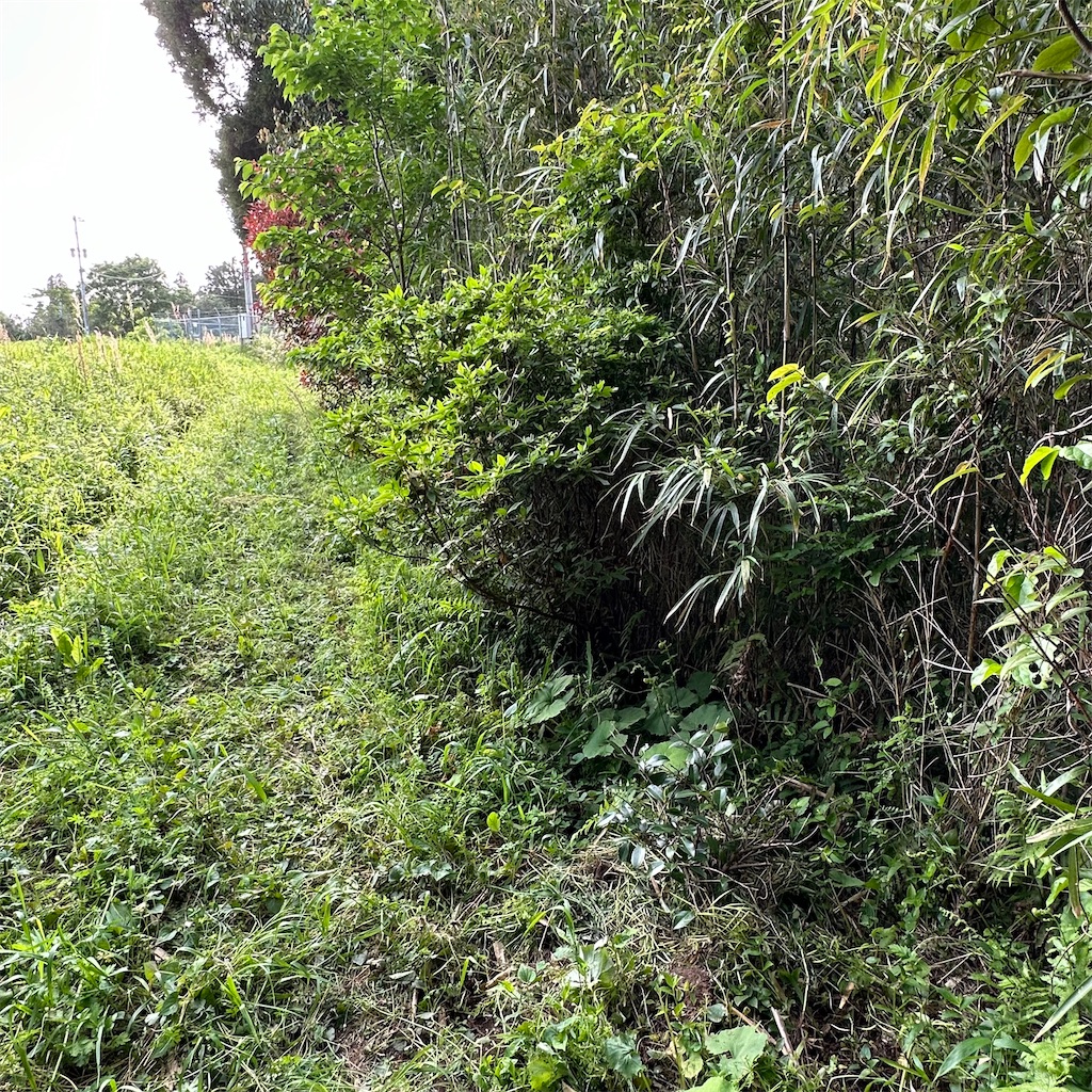 f:id:rotling:20240428224210j:image