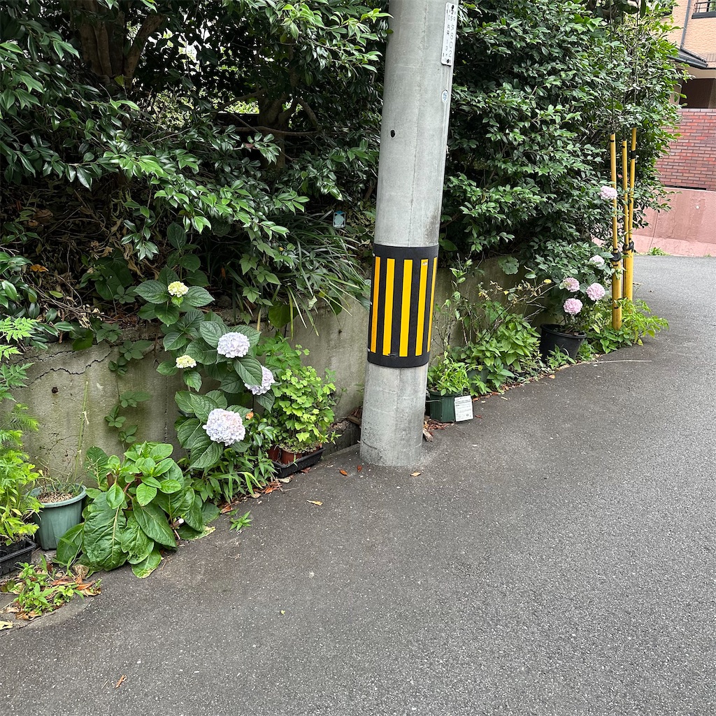 f:id:rotling:20240620231156j:image