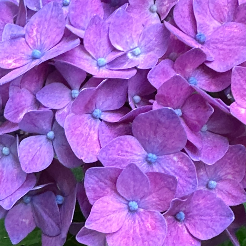 f:id:rotling:20240626095422j:image