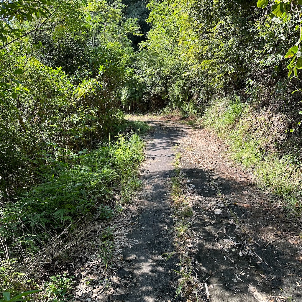 f:id:rotling:20241002142413j:image