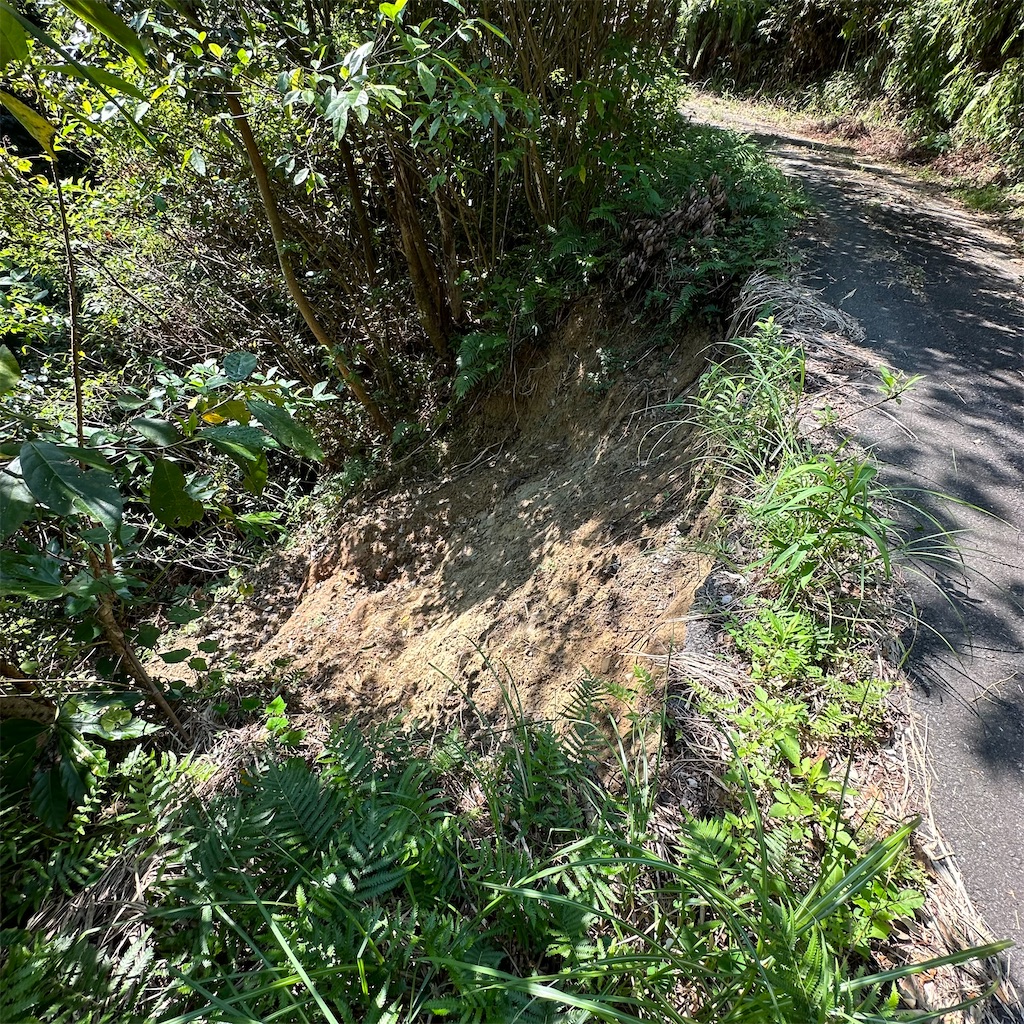 f:id:rotling:20241002142419j:image