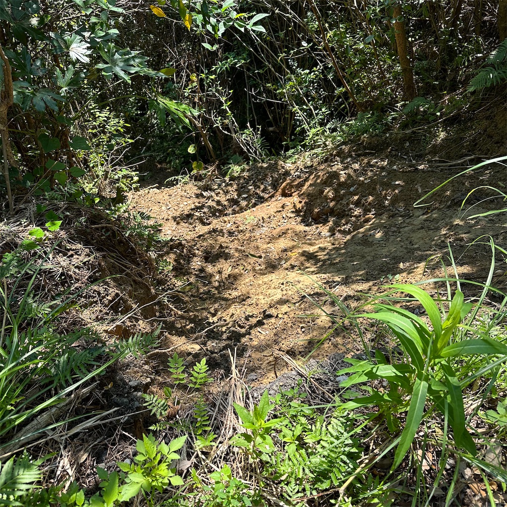 f:id:rotling:20241002142429j:image