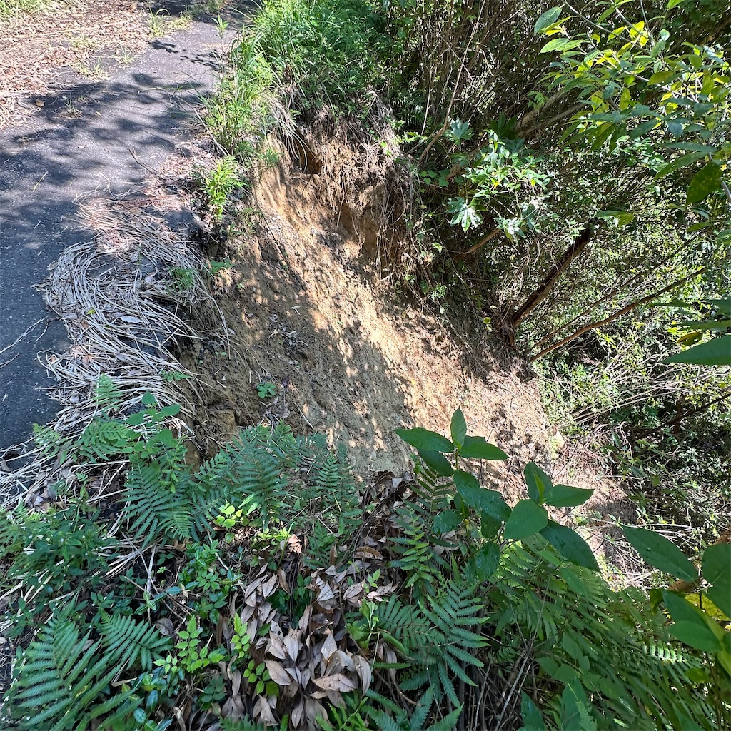 f:id:rotling:20241002142433j:image