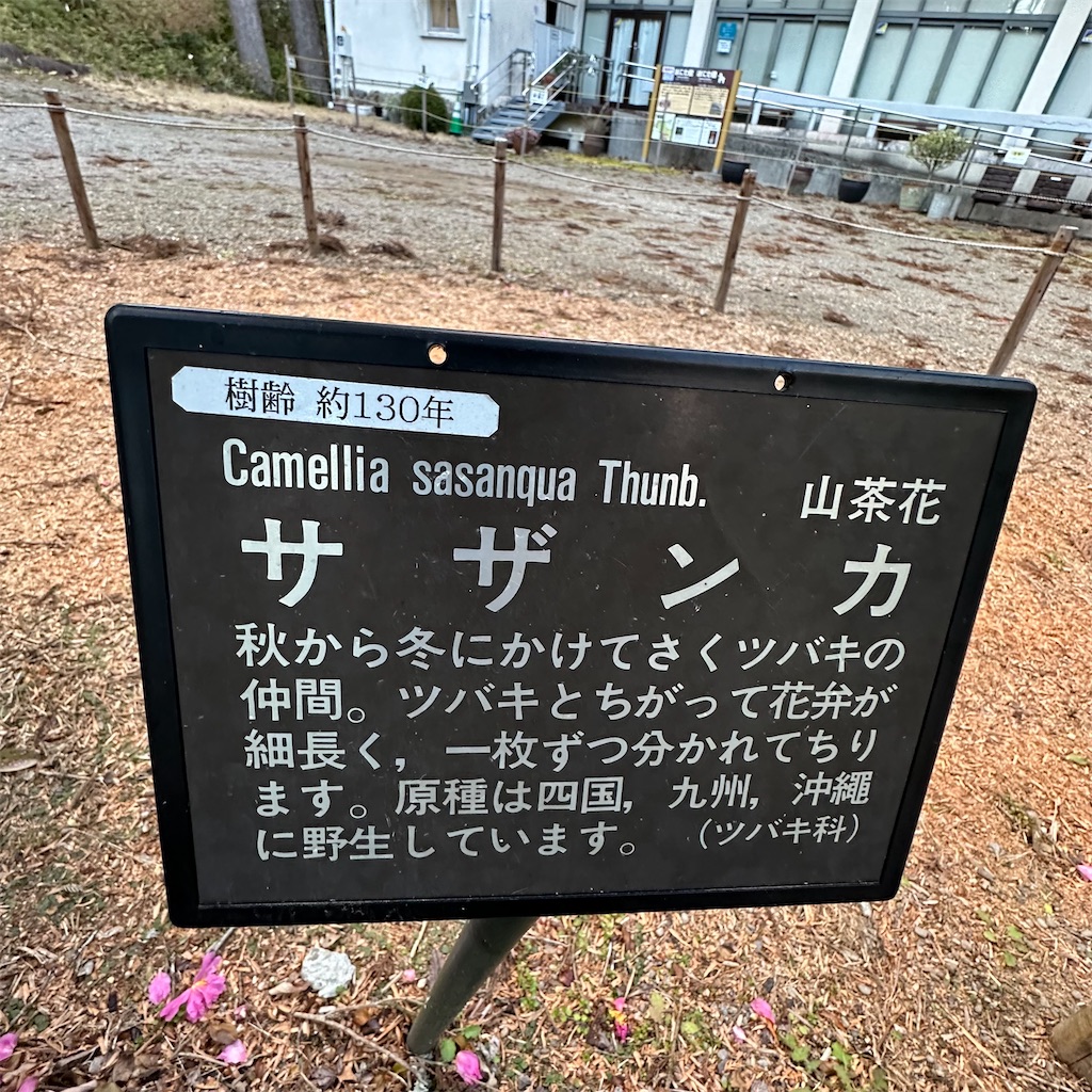 f:id:rotling:20250201185031j:image