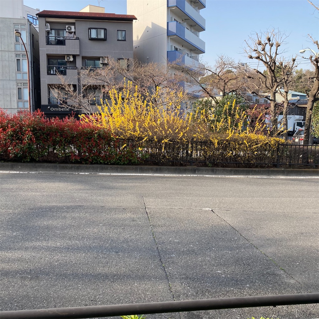 f:id:rotling:20250414074351j:image