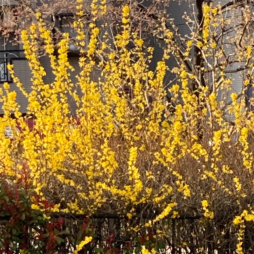 f:id:rotling:20250414074357j:image