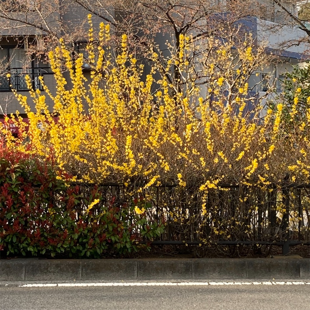 f:id:rotling:20250414074402j:image