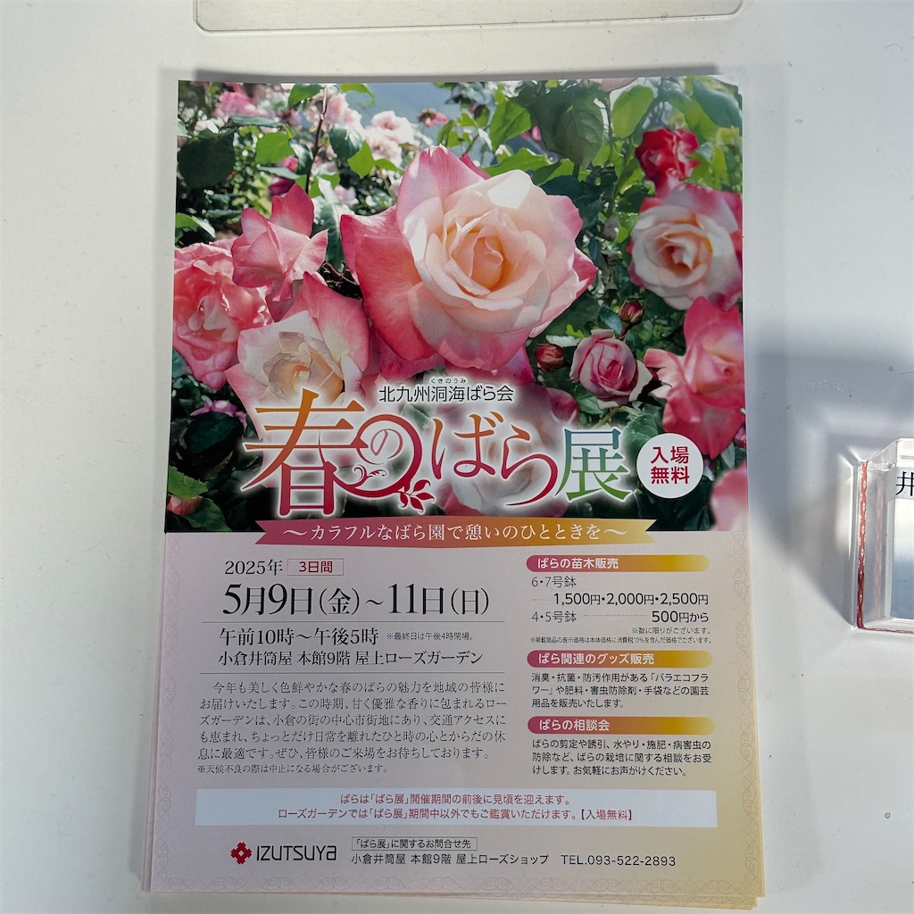 f:id:rotling:20250428084542j:image