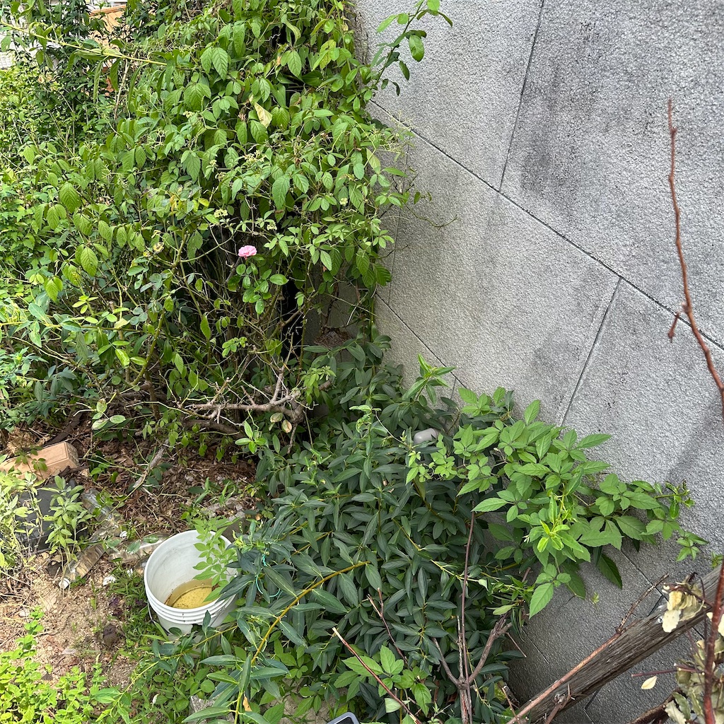 f:id:rotling:20250806105930j:image