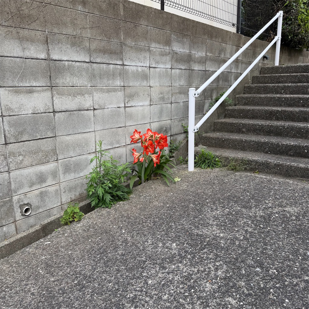 f:id:rotling:20260524111657j:image f:id:rotling:20260524111657j:image
